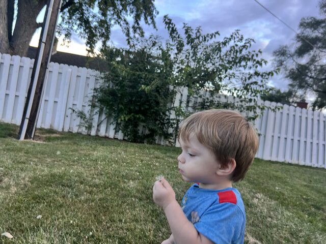 Home · August 18, 2024